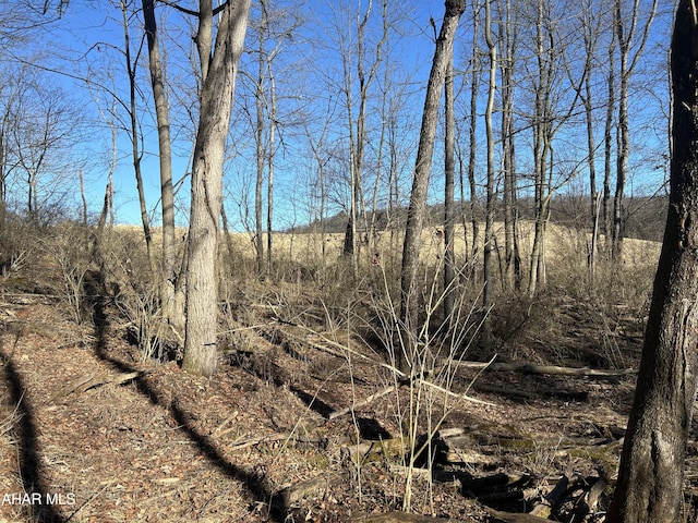 0 Hundred Springs Rd, Tyrone, PA 16686