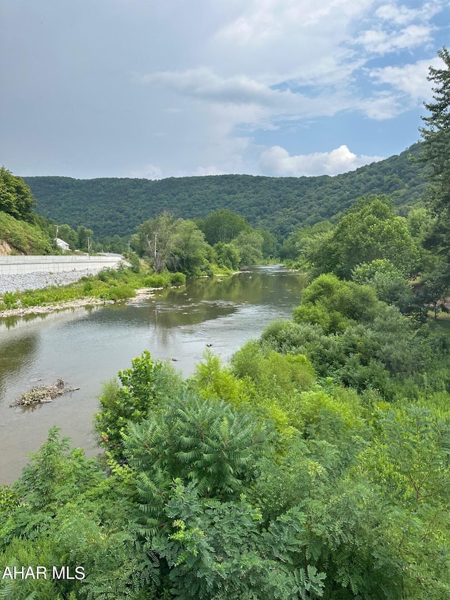 property view of water