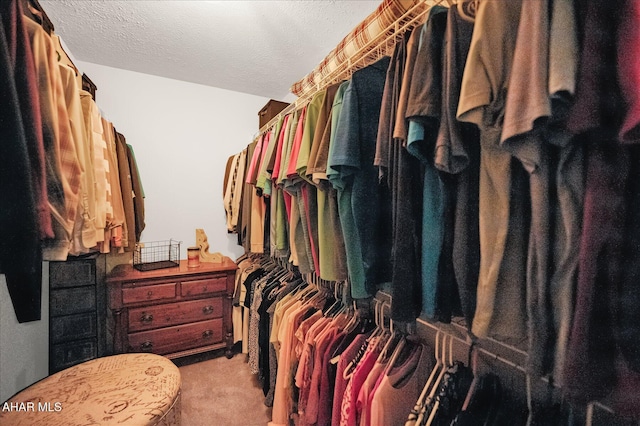 walk in closet with light carpet