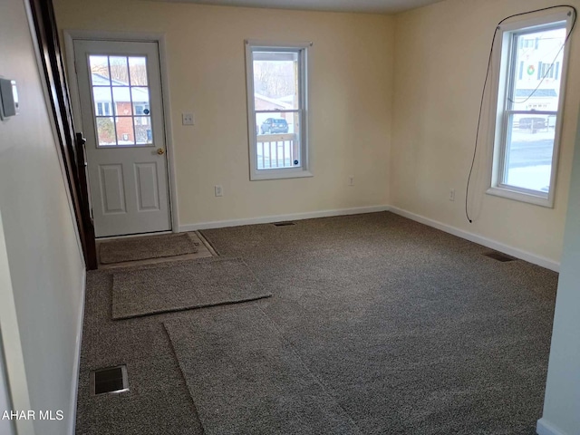 carpeted entryway featuring plenty of natural light