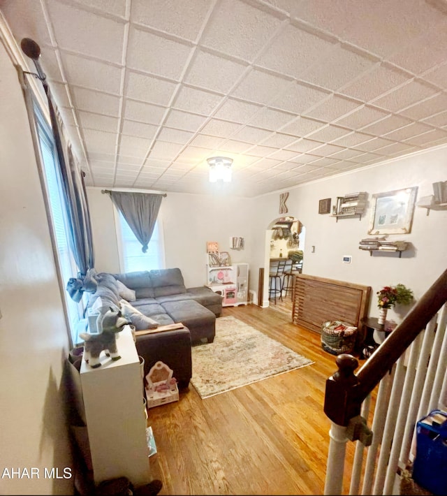 living room featuring arched walkways, a drop ceiling, and wood finished floors