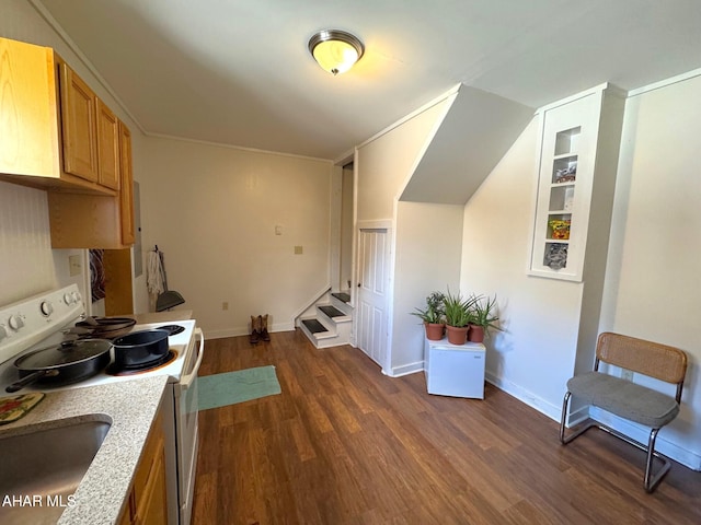 kitchen with baseboards, dark wood-style flooring, light countertops, and electric stove