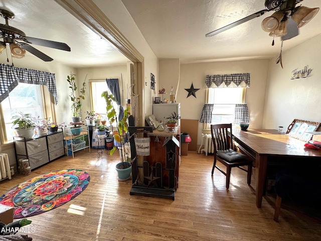 dining space featuring ceiling fan, a textured ceiling, and wood finished floors