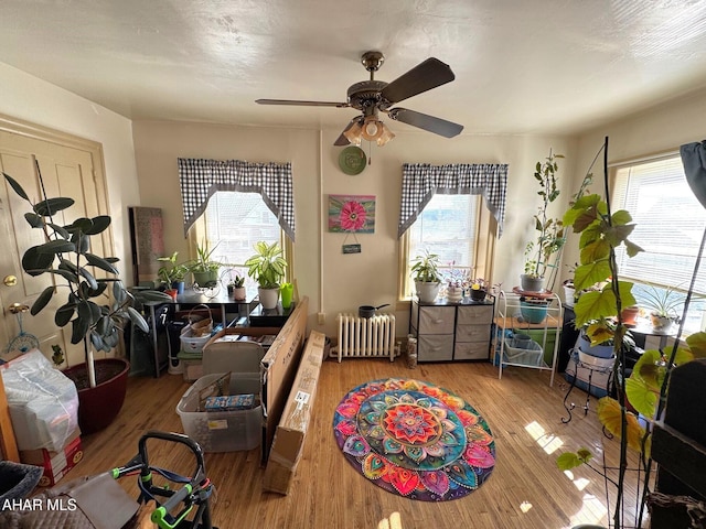 bedroom featuring a ceiling fan, radiator, and light wood-style flooring