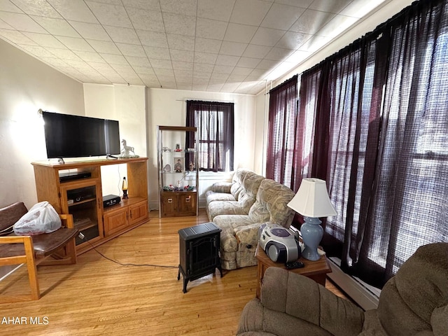 living area with light wood finished floors