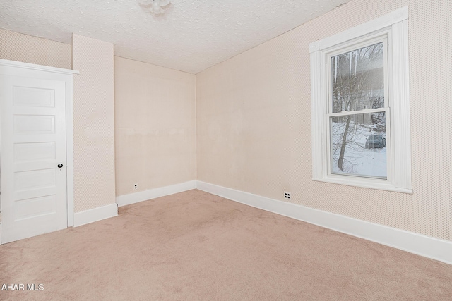 empty room featuring light colored carpet and a textured ceiling