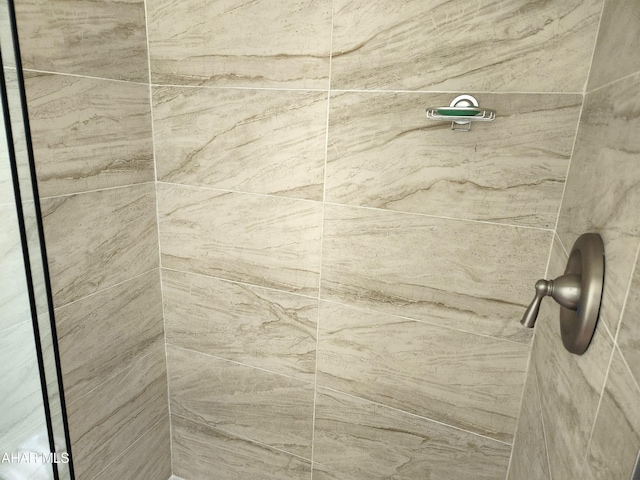 interior details with tiled shower