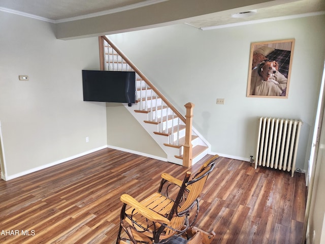 stairway with wood-type flooring, radiator, and ornamental molding