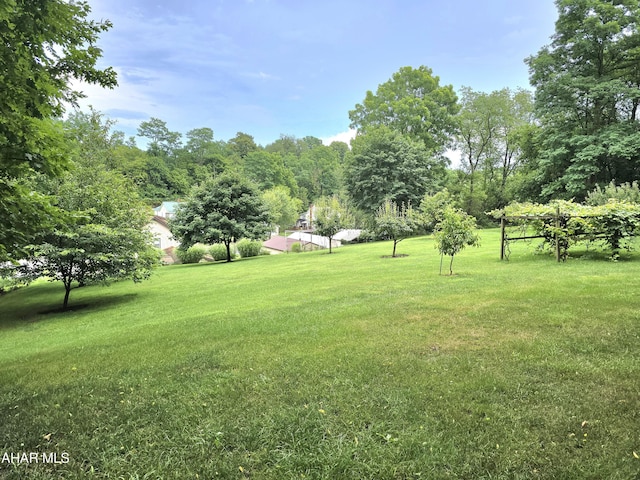 1150 Cabbage Creek Rd, Roaring Spring, PA 16673 - photo 42