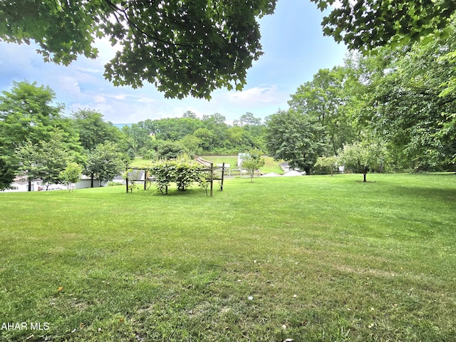 1150 Cabbage Creek Rd, Roaring Spring, PA 16673 - photo 41