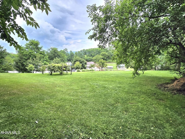 1150 Cabbage Creek Rd, Roaring Spring, PA 16673 - photo 40