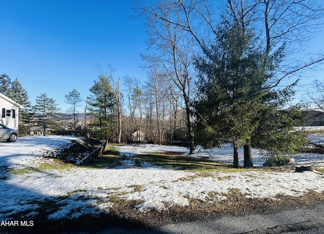 view of snowy yard