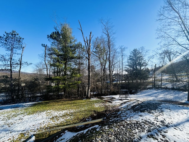 view of yard layered in snow