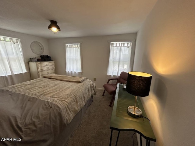 3776 Warriors Mark Path, Warriors Mark, PA 16877 - bedroom featuring dark carpet and baseboards