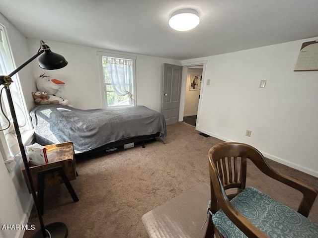 3776 Warriors Mark Path, Warriors Mark, PA 16877 - carpeted bedroom with baseboards