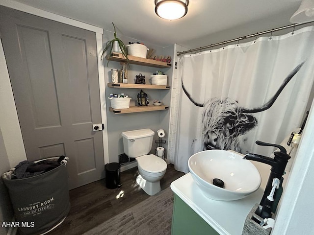 3776 Warriors Mark Path, Warriors Mark, PA 16877 - full bathroom with wood finished floors, vanity, toilet, and curtained shower
