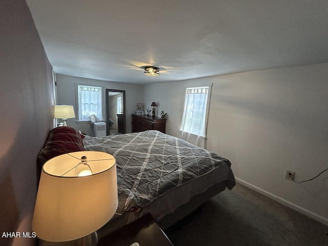 3776 Warriors Mark Path, Warriors Mark, PA 16877 - bedroom with baseboards and carpet