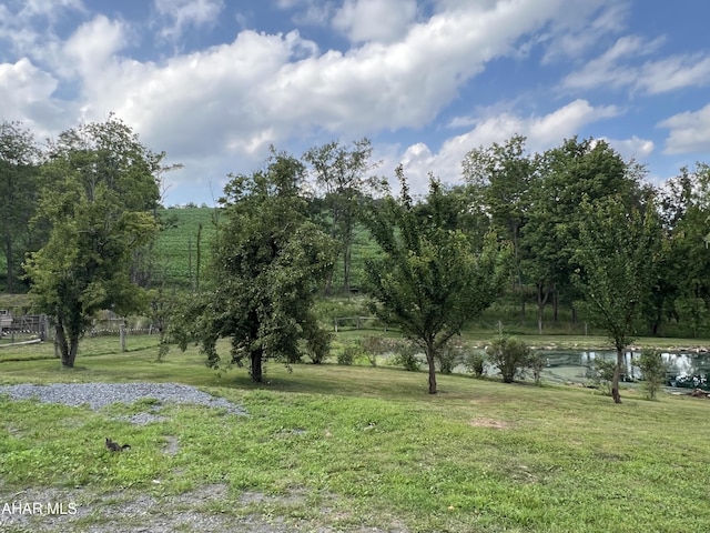 459 Tomco Rd, Schellsburg, PA 15559 - photo 42