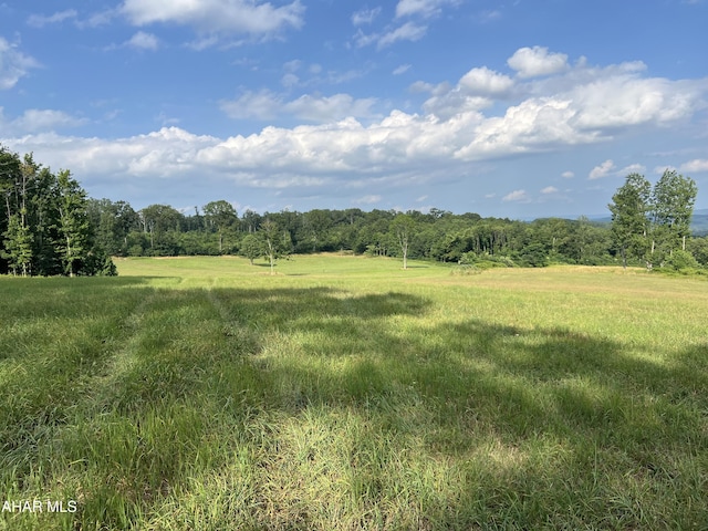 459 Tomco Rd, Schellsburg, PA 15559 - photo 51