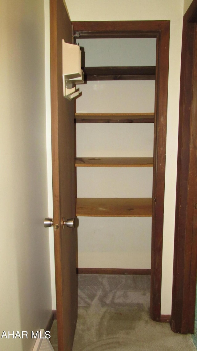 703 Ruskin Dr, Altoona, PA 16602 - staircase featuring carpet floors and baseboards