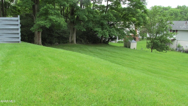 703 Ruskin Dr, Altoona, PA 16602 - view of grassy yard