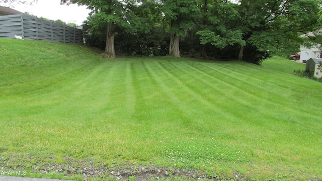 703 Ruskin Dr, Altoona, PA 16602 - view of yard