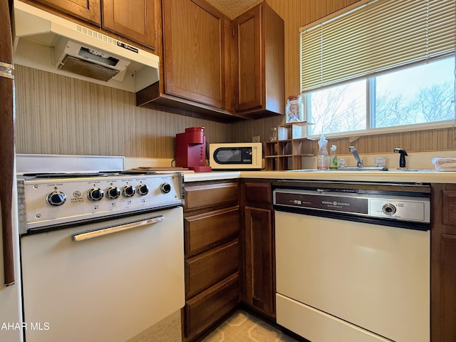 kitchen with white appliances and sink