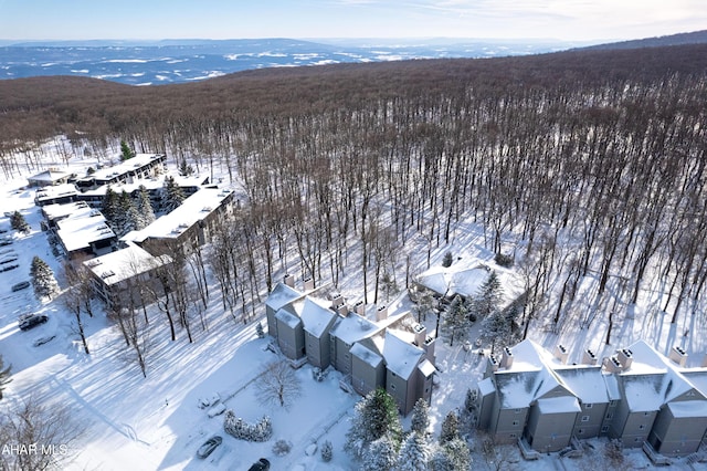 snowy aerial view featuring a mountain view