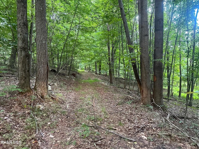 Listing photo 2 for LOT1B Louks Rd, Bedford PA 15522