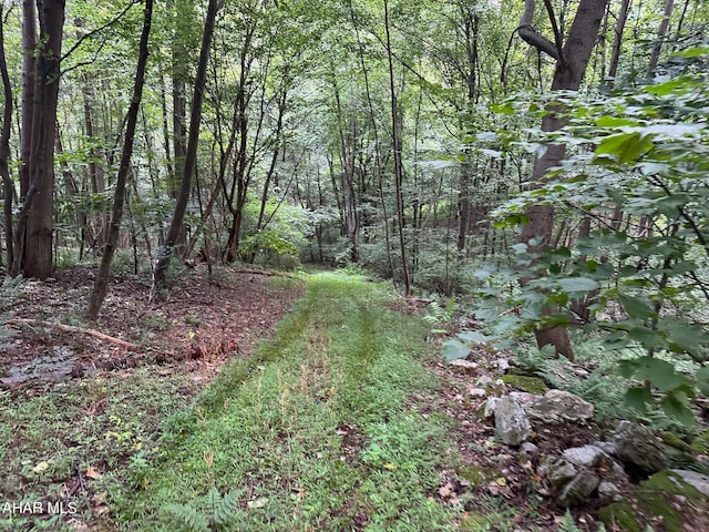 LOT1B Louks Rd, Bedford PA, 15522 land for sale