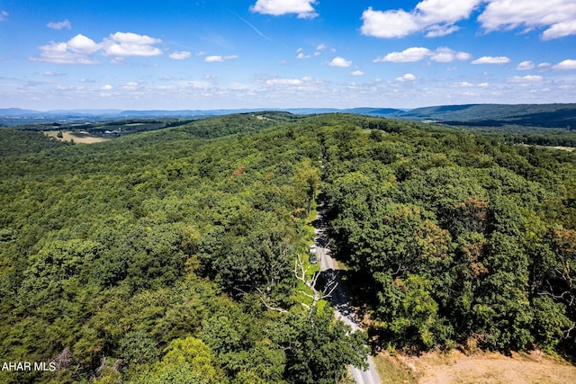OFF Addison Ridge Rd, Clearville, PA 15535 - photo 11