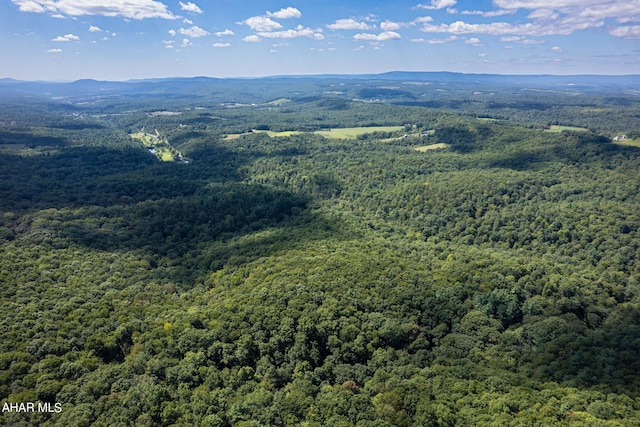 OFF Addison Ridge Rd, Clearville, PA 15535 - photo 8