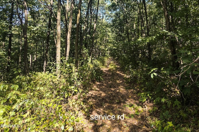 OFF Addison Ridge Rd, Clearville, PA 15535 - photo 4