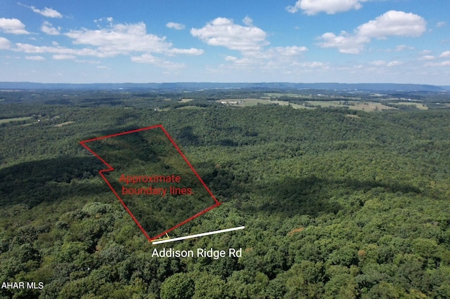 OFF Addison Ridge Rd, Clearville, PA 15535 - photo 2