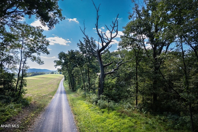 OFF Addison Ridge Rd, Clearville, PA 15535 - photo 17