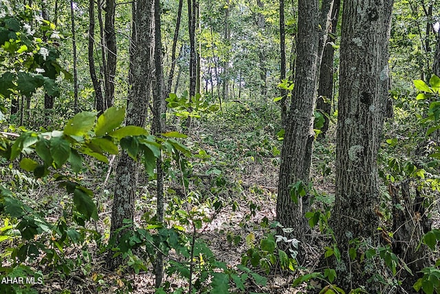 OFF Addison Ridge Rd, Clearville, PA 15535 - photo 13