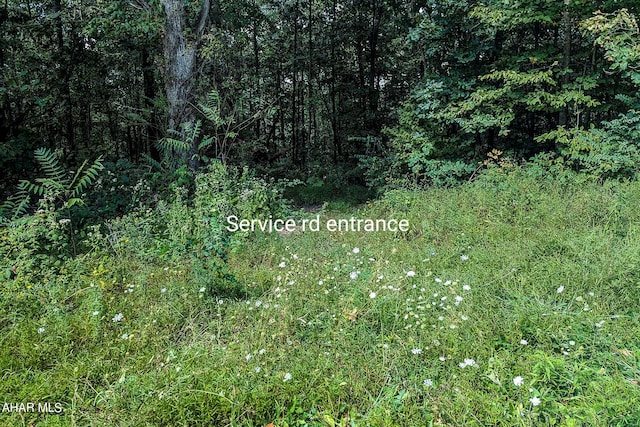 OFF Addison Ridge Rd, Clearville, PA 15535 - photo 3