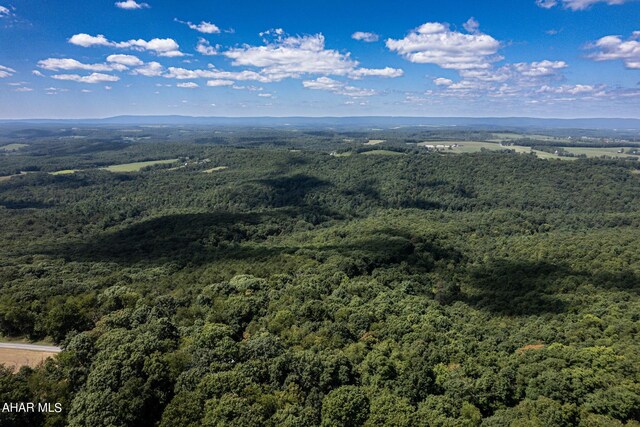 OFF Addison Ridge Rd, Clearville, PA 15535 - photo 9