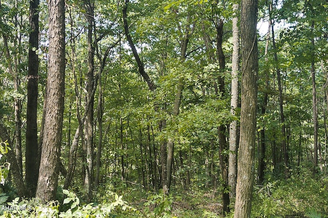 OFF Addison Ridge Rd, Clearville, PA 15535 - photo 15