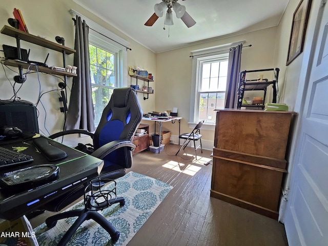 office space with plenty of natural light, baseboards, ceiling fan, and hardwood / wood-style floors