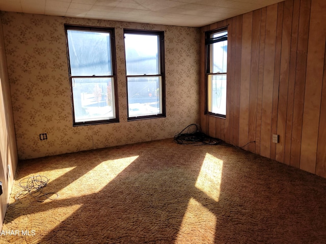 carpeted spare room with wood walls