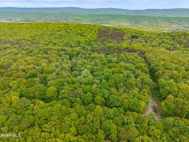 358 Cabin Ridge Ln, Clearville, PA 15535