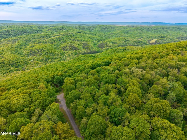 358 Cabin Ridge Ln, Clearville, PA 15535