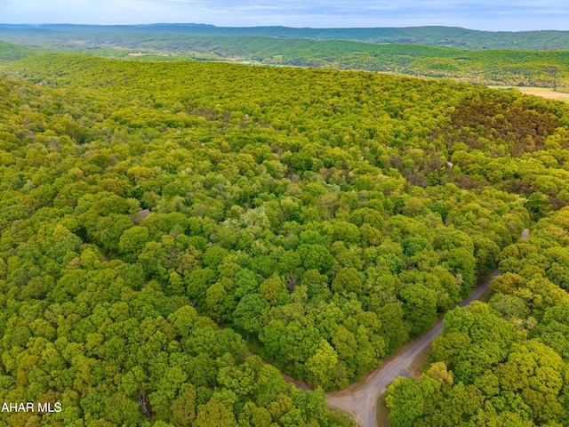 358 Cabin Ridge Ln, Clearville, PA 15535