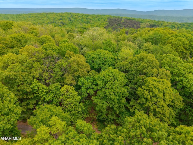 358 Cabin Ridge Ln, Clearville, PA 15535