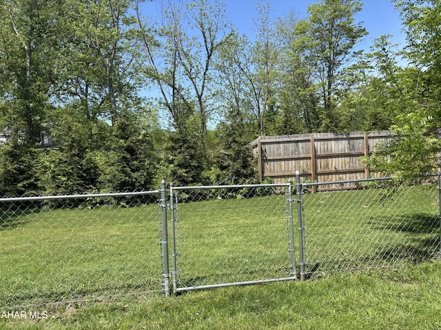 897 Burns Ave, Altoona, PA 16601 - view of yard featuring a gate