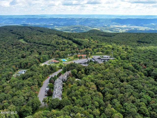 155 E Valley Point Ln, Claysburg, PA 16625 - bird's eye view of a forest and mountains