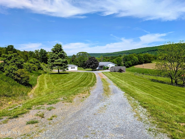 151 Rio Grande Rd, Clearville, PA 15535 - view of dirt / gravel driveway featuring a view of rural / pastoral area and a view of trees