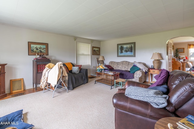 7241 Morgans Rd, Huntingdon, PA 16652 - living room featuring arched walkways