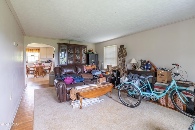 7241 Morgans Rd, Huntingdon, PA 16652 - living room with arched walkways, wood finished floors, baseboards, and crown molding
